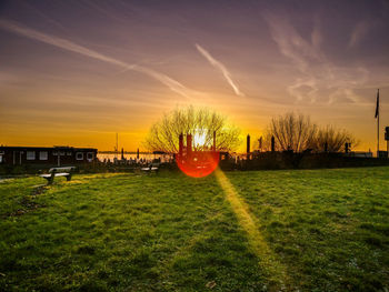 Grass on field against sky at sunset