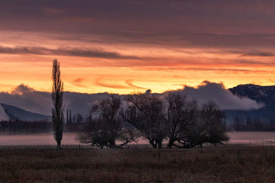 Scenic view of field against sky during sunset