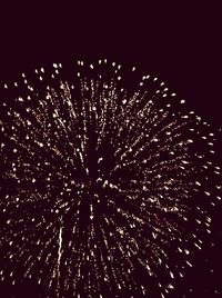 Low angle view of firework display over black background