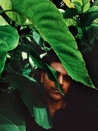 Portrait of young man with green leaves