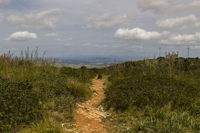 Scenic view of farm against sky