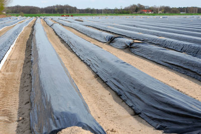 Black fabrics on agricultural field