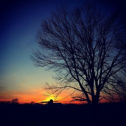 Silhouette of bare trees against sky at sunset