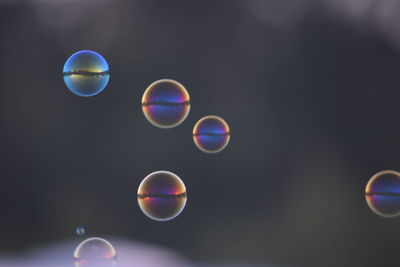 Low angle view of balloons against blue sky