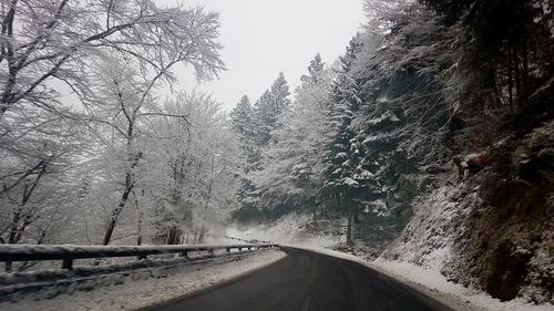 Road amidst trees during winter