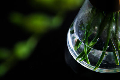 Close-up of glass of water