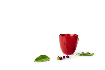 Close-up of drink against white background