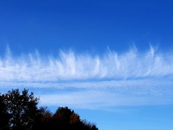 Low angle view of silhouette trees against blue sky