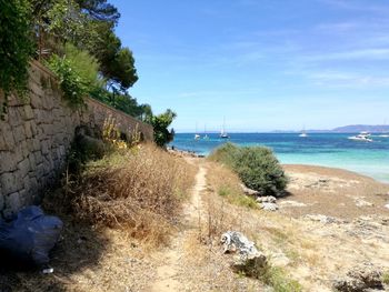 Scenic view of beach against blue sky