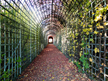 Tunnel in the palace garden of palace schwetzingen in germany