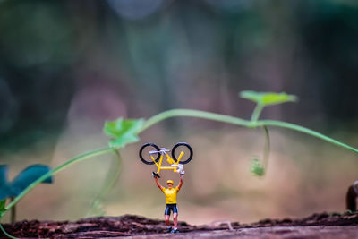 Close-up of yellow toy against blurred background