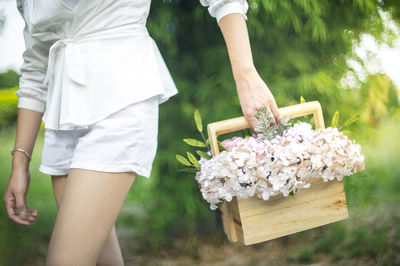 Midsection of woman holding white flowering plants