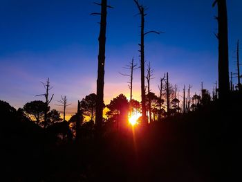 Silhouette trees against clear sky during sunset