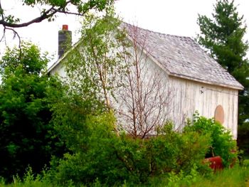 Low angle view of house