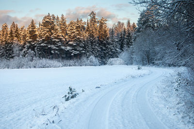 Snow covered field against sky