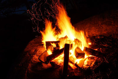 Close-up of bonfire at night