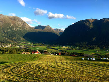 Scenic view of agricultural field against sky