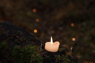 High angle view of lit candle against plants