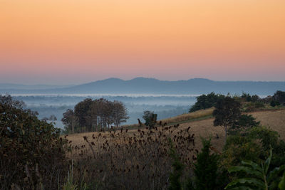 Scenic view of field against sky during sunset
