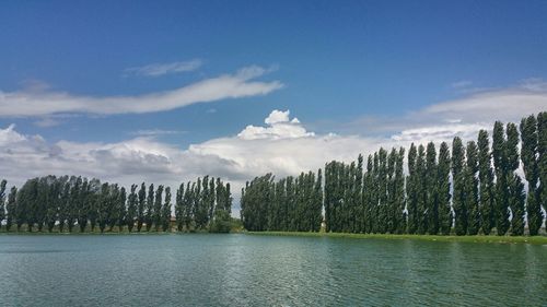 Scenic view of sea against cloudy sky