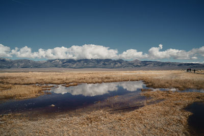 Scenic view of lake by field against sky