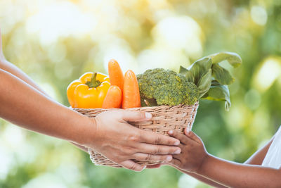 Cropped hands of vegetables in wicker basket