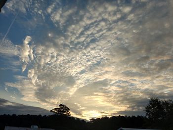 Low angle view of silhouette trees against dramatic sky