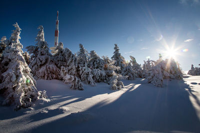 Scenic view of snow covered land against bright sun