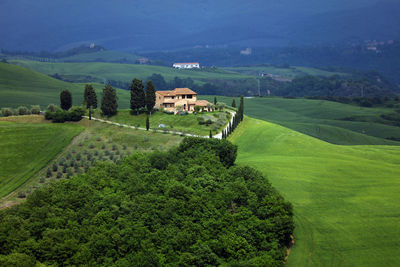 High angle view of trees and buildings on field