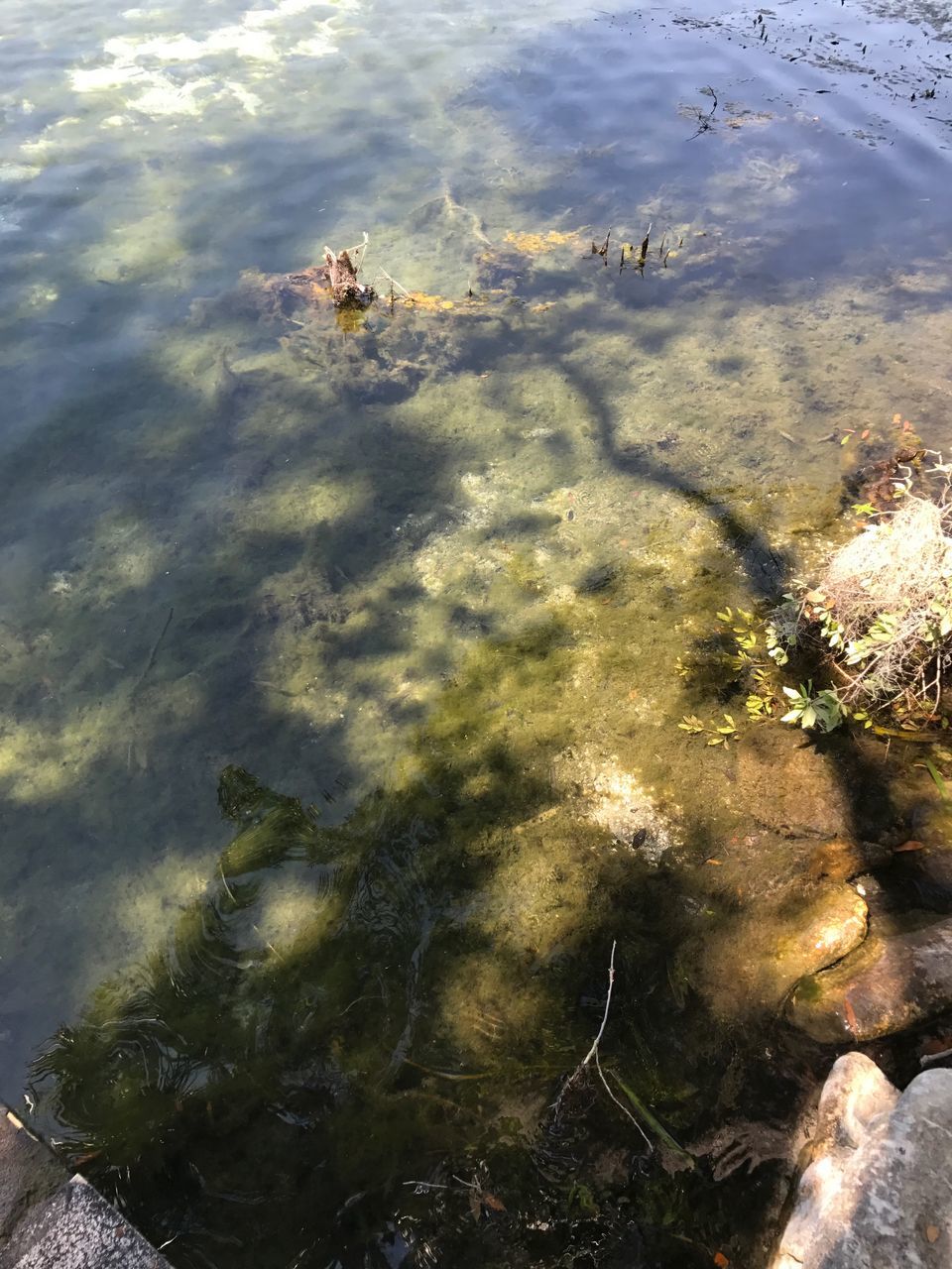 water, sunlight, high angle view, nature, outdoors, day, beauty in nature, no people, animal themes, sea, animals in the wild, sand, beach, sky, sea life