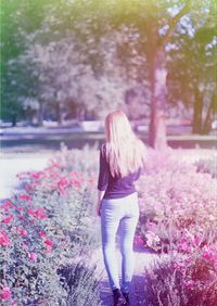 Rear view of woman standing against trees