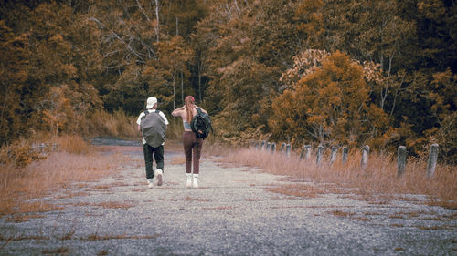 Rear view of men walking on footpath in forest