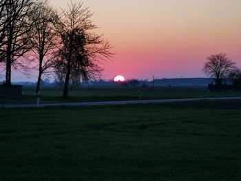 Silhouette trees on field against sky during sunset