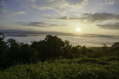 Scenic view of field against sky during sunset