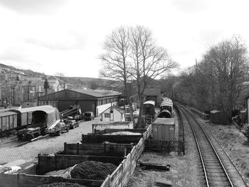 Railroad track along trees