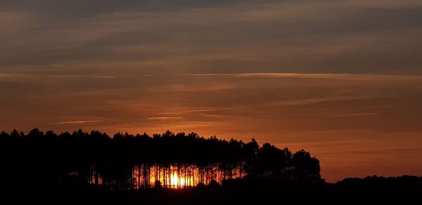 Silhouette trees against sky during sunset