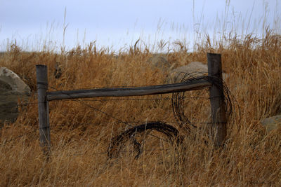 Fence against sky