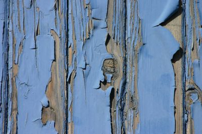 Close-up of wooden planks