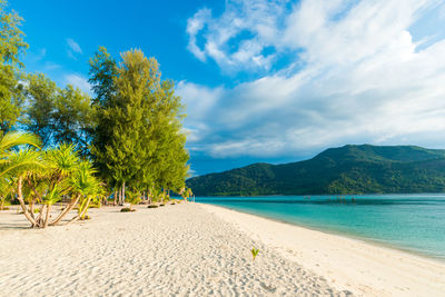 Scenic view of beach against blue sky