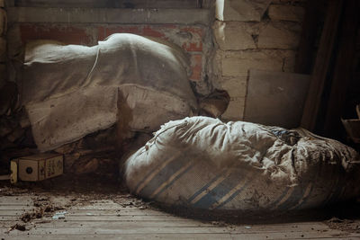 Close-up of messy lying down on bed against wall