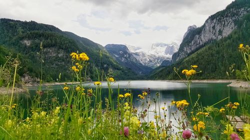 Scenic view of lake against cloudy sky