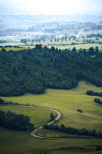 High angle view of trees on field against sky