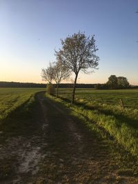 Dirt road amidst field against sky