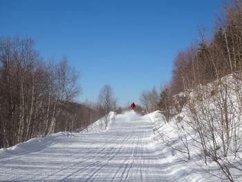 Snow covered street amidst trees against clear sky