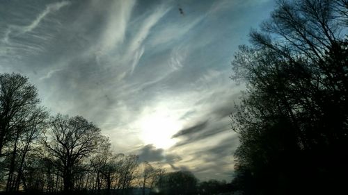 Low angle view of trees against cloudy sky