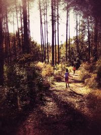 Rear view of men walking in forest