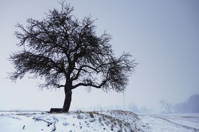Tree on snow covered field against clear sky
