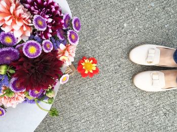 High angle view of flowers