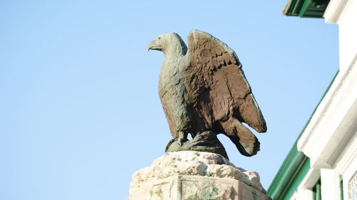 Low angle view of owl perching against clear sky