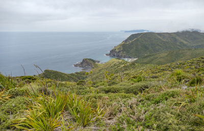 Coastal scenery around cape reinga at the north island in new zealand